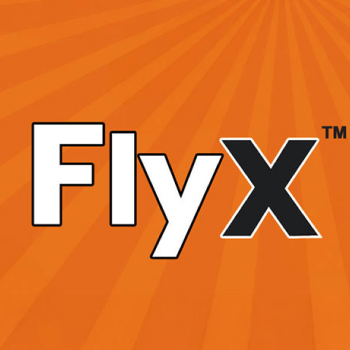 FlyX slot preview