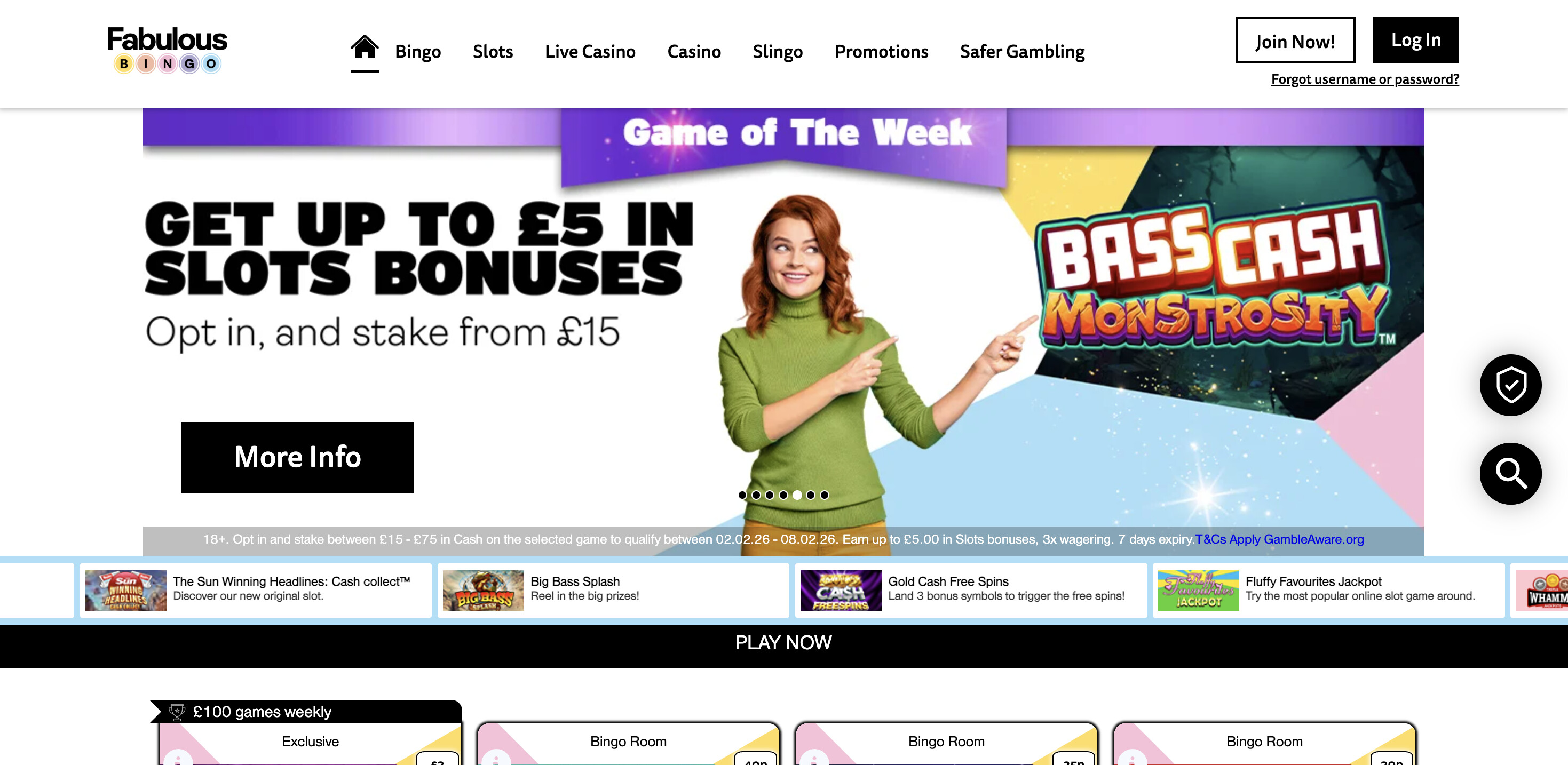 Fabulous Bingo screenshot 1