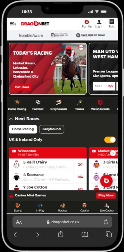 Dragonbet screenshot 4