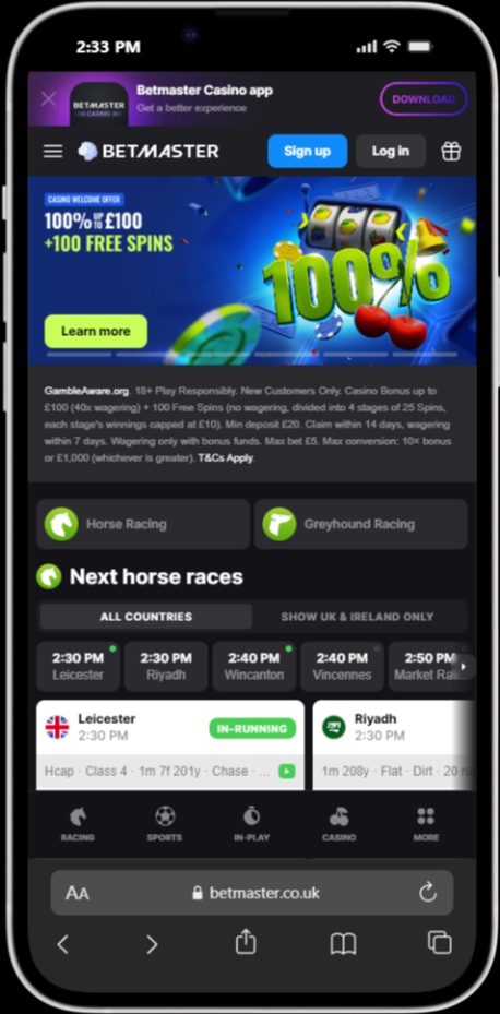 Betmaster screenshot 4