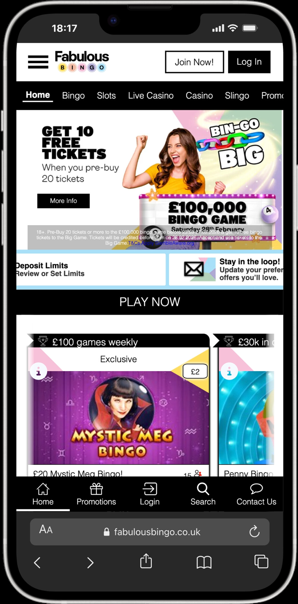 Fabulous Bingo screenshot 4