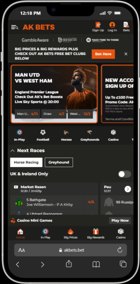 AK BETS screenshot 5