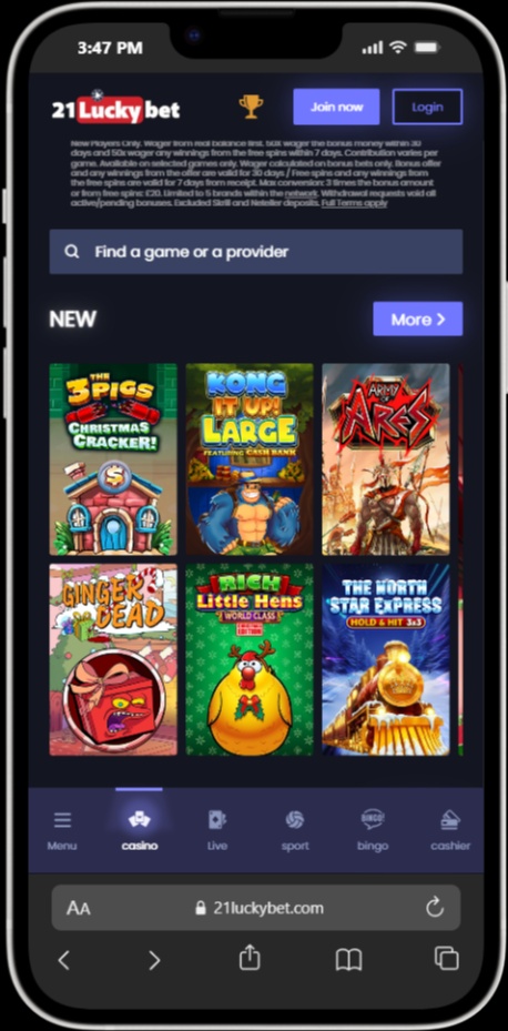 21LuckyBet screenshot 5