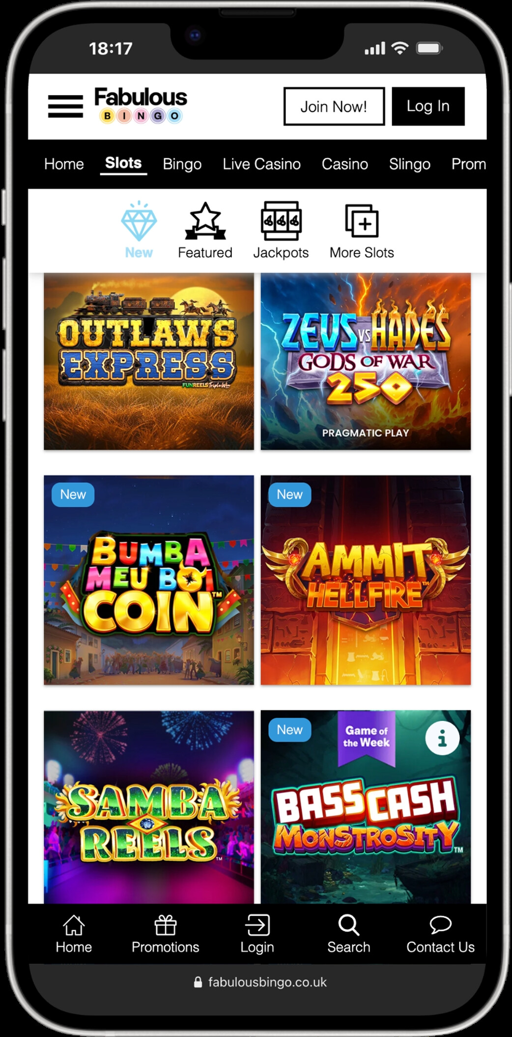 Fabulous Bingo screenshot 5