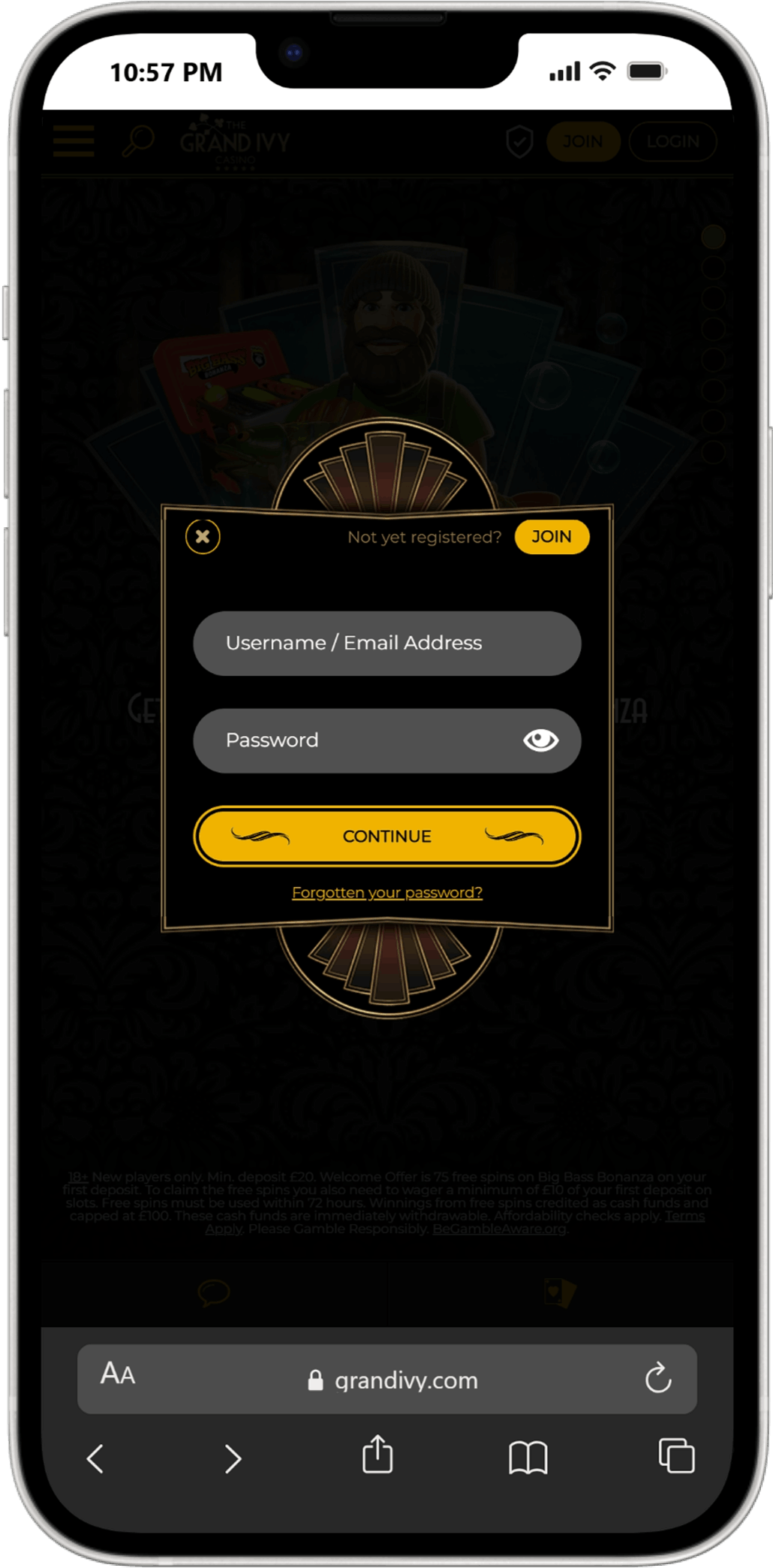 Grand IVY screenshot 6