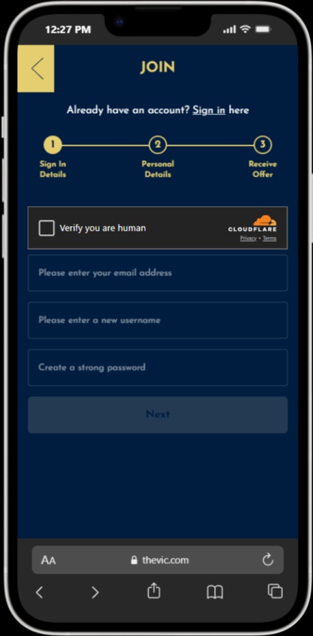 The Vic screenshot 6