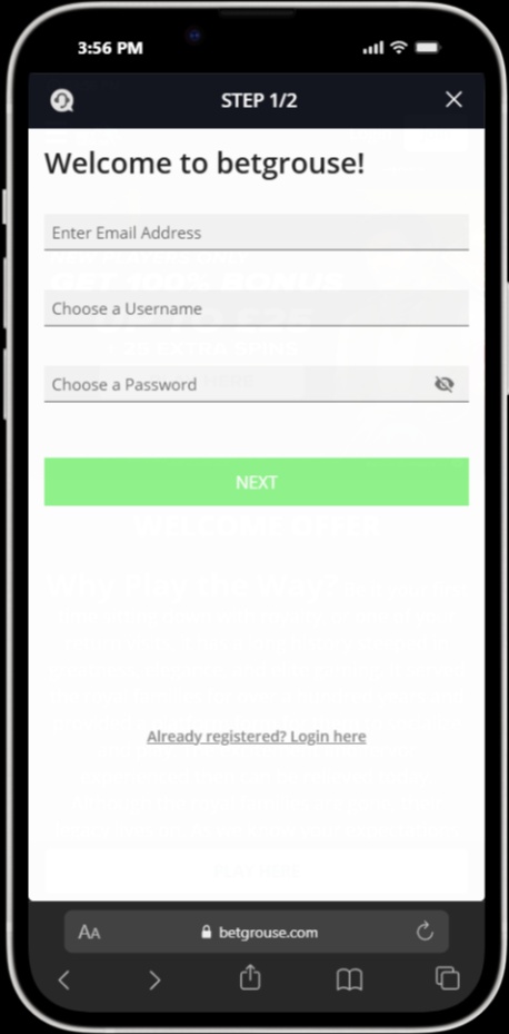 Betgrouse screenshot 5