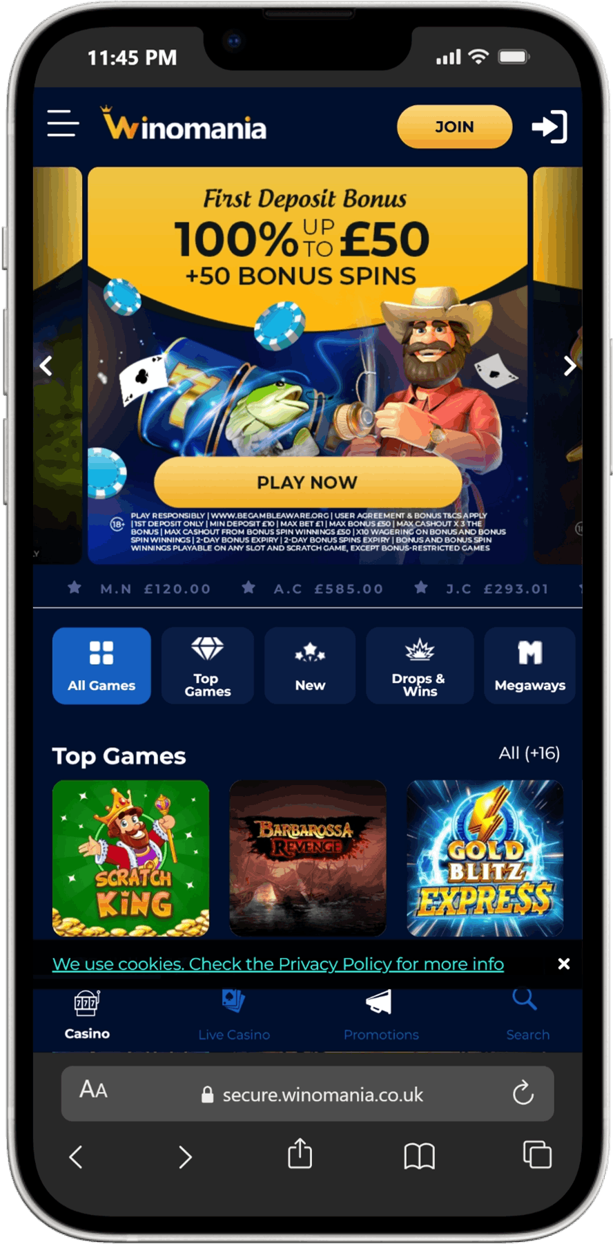 Winomania screenshot 5