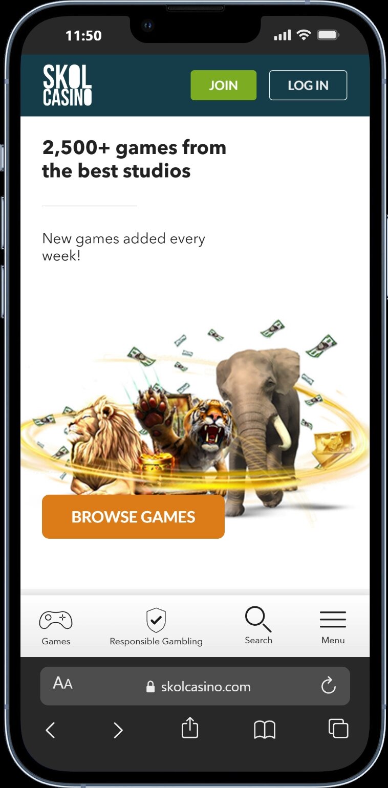 Skol Casino screenshot 5