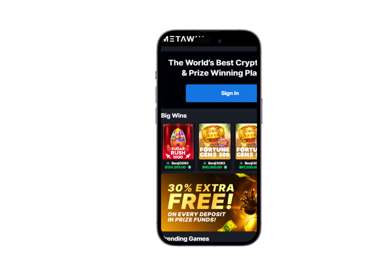 MetaWin screenshot 4