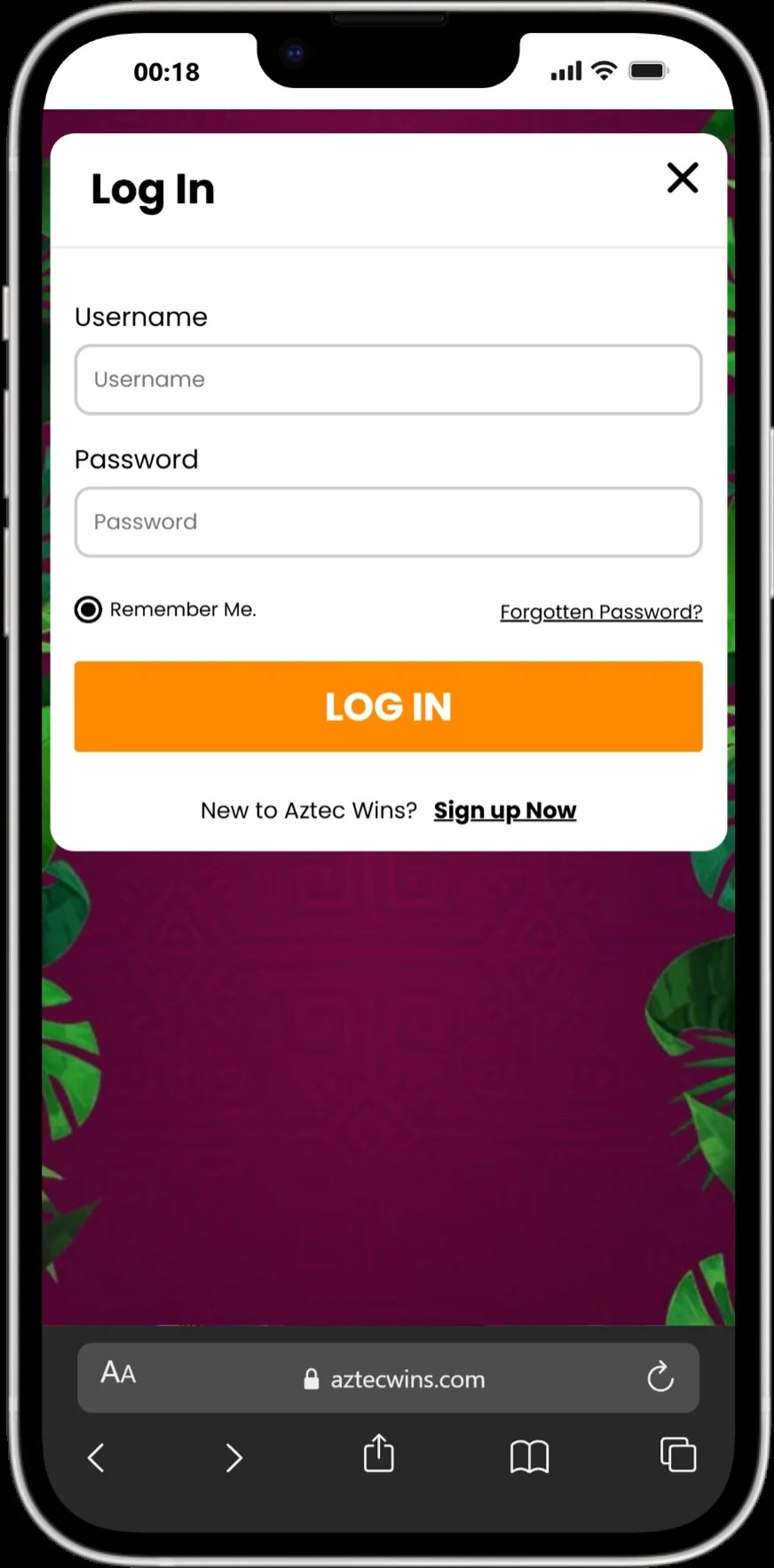 Aztec Wins screenshot 6