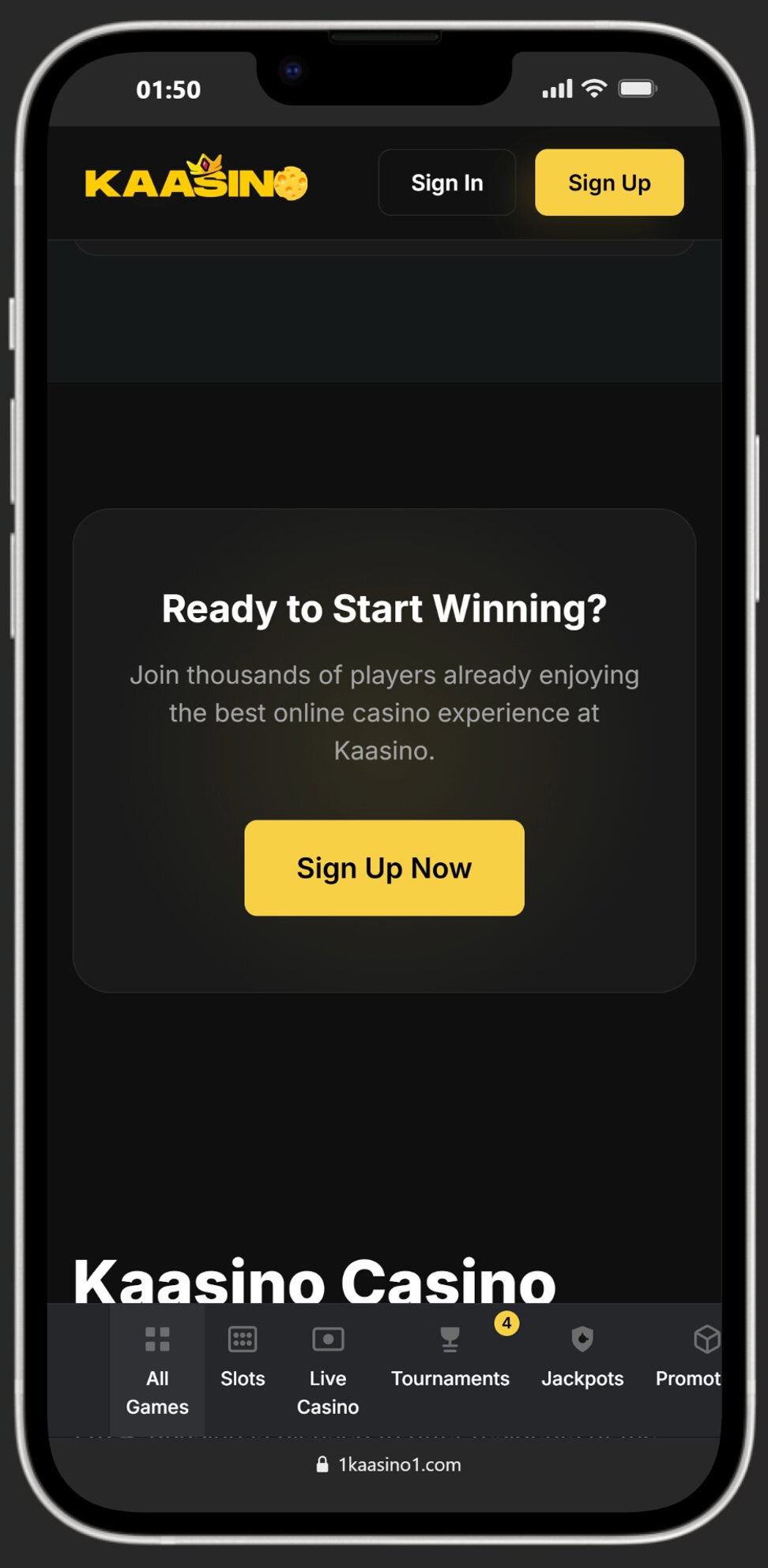 Kaasino screenshot 6