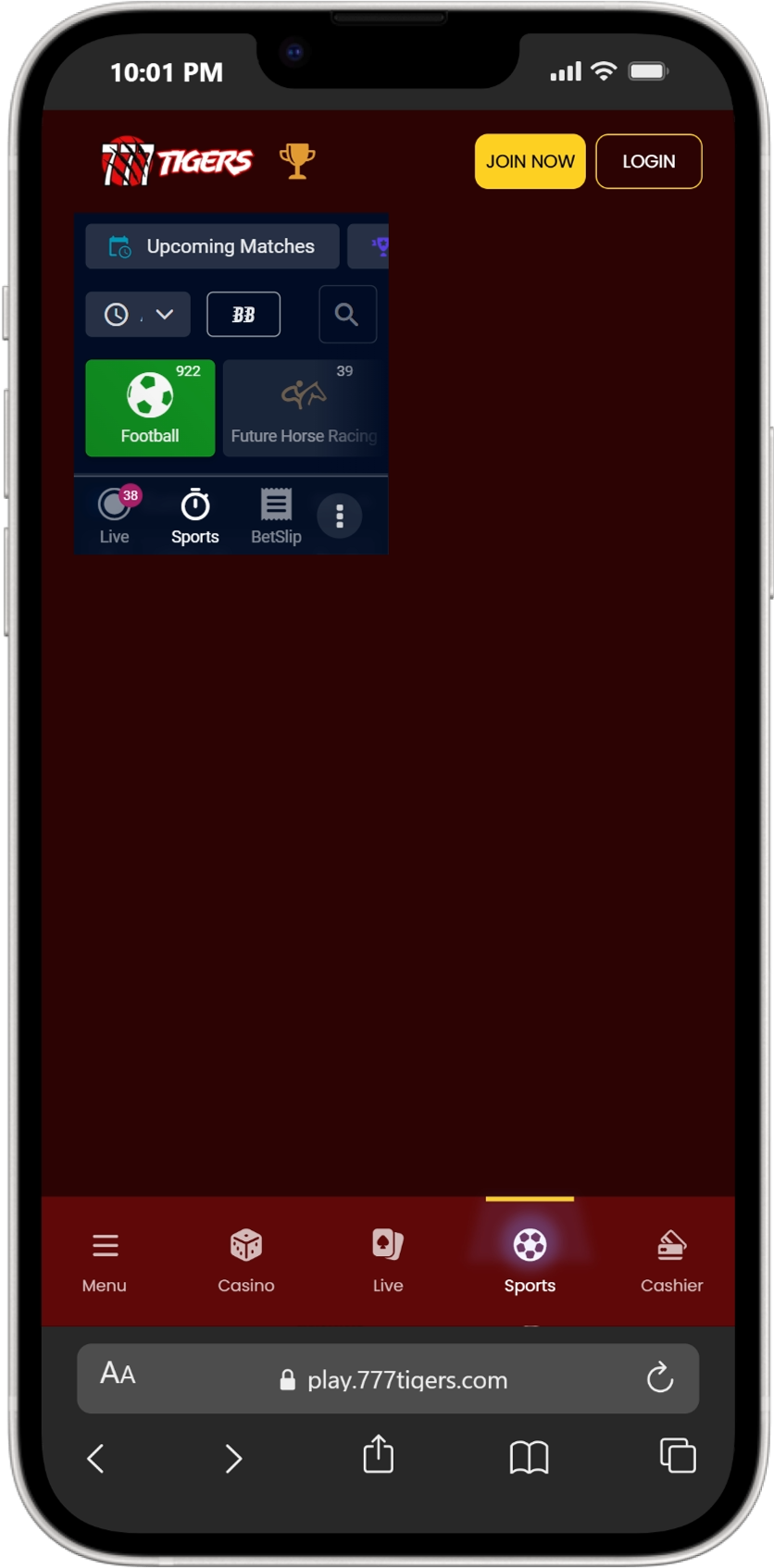 777Tigers screenshot 5