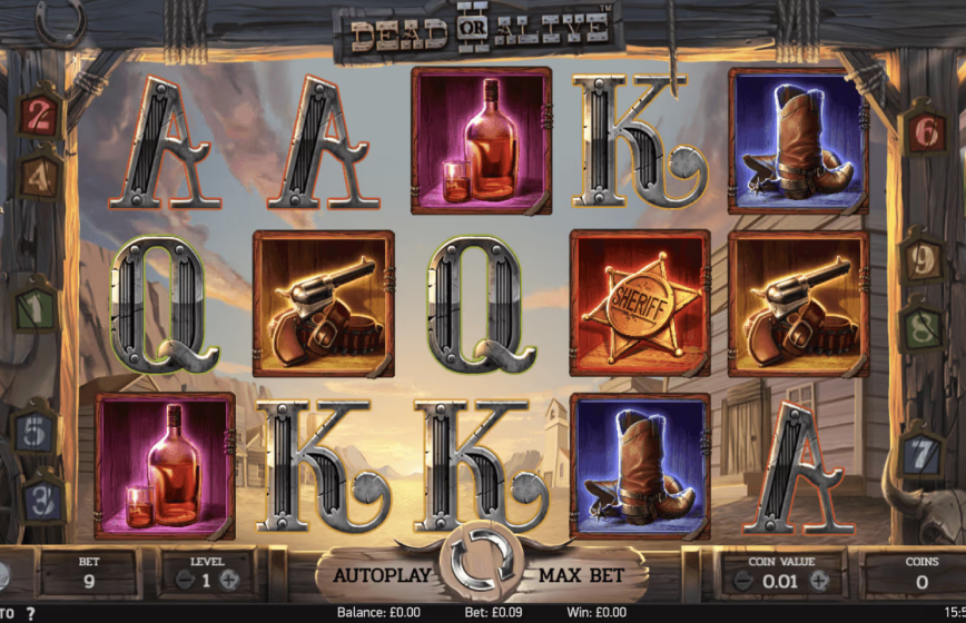 Dead Or Alive 2 Slot Review and Demo Play