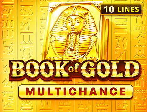 Book Of Gold: Multichance slot preview